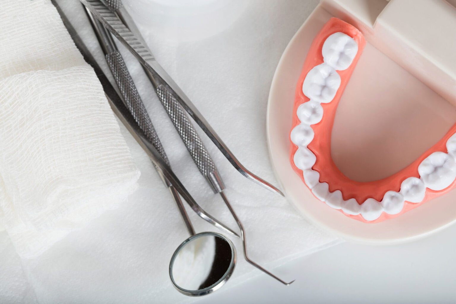 ¿Cuántos dientes tiene un adulto?