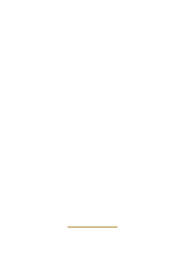 protesis